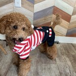 Dog Cafe ベルン - 