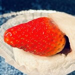 手作り和菓子処 真盛堂 - いちごのタネをみてください！　状態が良　　byまみこまみこ