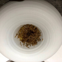 アニエルドール - 