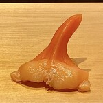 鮨 はしもと - お刺身 アオヤギ 三重より
      オレンジ色が濃くシコシコとした食感良く、甘みがありとても美味です♪
      下には紐もあり、香りの良さを食感と共に楽しめます。