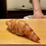 鮨 はしもと - 車海老
      茹でたてをすぐに握られるその甘みの良さは格別！
      サイズはこの位が好みのマックスです♪