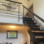 そばきり 日曜庵 - 