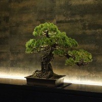 中目黒 いぐち 本店 - 
