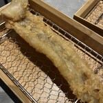 Tempu Xushi Jou Kawaramachi Tempura To Ate To Wain - 