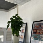 CAFE&BURGER HAMBELL - 