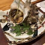 福井割烹 望月 - 