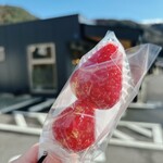 旅の駅 kawaguchiko base あさま市場 - 