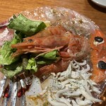 湘南バルはなたれ The Fish and Oysters - 海鮮カルパッチョ