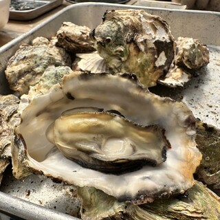 モトかき養殖場_1