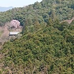 たなか商店 智千 - 向こうの山に枝垂れ桜とお寺