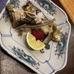 福井割烹 望月 - 