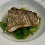 SABATINI di Firenze - 魚料理
                      <真鯛の溶岩石グリル　季節の野菜や豆とスペルト小麦貝の旨みを凝縮したスープ仕立て　エストラゴンの香り>