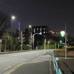 Louis Hamburger Restaurant - お店を右手に見ながら通り過ぎると～先に駐車場があります