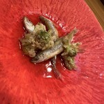 福井割烹 望月 - 