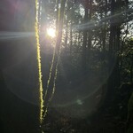 アトリエ茶房 風芽 - 朝焼け♪