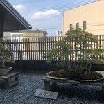 日本茶きみくら - 