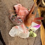 福井割烹 望月 - 