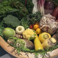 レフェルヴェソンス - 