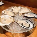 Oyster Lab - 