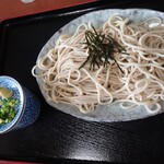 Toyomi Udon - 