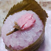十勝あんこのサザエ - 