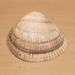 江戸前鮨 二鶴 - 『大分中津のとり貝の殻』