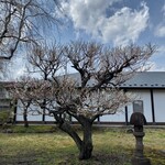 汁飯香の店 隠居 うわさわ - 