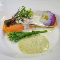 MAISON HIBINO - 