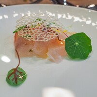 MAISON HIBINO - 
