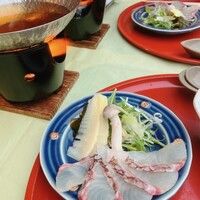 東山望 TAMANOHIKARI - 