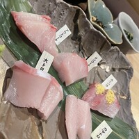 魚師匠 -  魚師匠 -