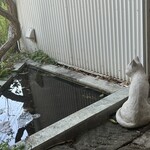 南町テラス - ねこ