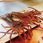 鉄板 フランス割烹 Lis - 