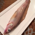 シクラメンテ - 2014.01　げんげ。