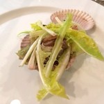 シクラメンテ - 2014.01　日扇貝♪