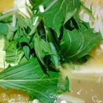 水炊き とよみつ  - 