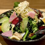 洋食 おがた - いろいろ春サラダ（京都伏見山田ファーム）