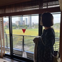 鰻割烹 伊豆栄 本店 -  鰻割烹 伊豆栄 本店 -