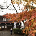 木の芽屋 - お店の周りも秋の装い