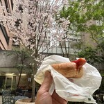 TULLY'S COFFEE - 桜を観ながらホットドッグと美味しいコーヒー