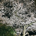 博多水たき元祖 水月 - 