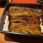 Unagi Chigusa - 