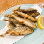 魚や 翻車魚丸 - 