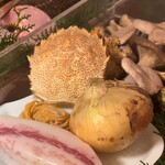 アッピア アルタ 西麻布 - 