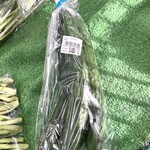 道の駅 はにゅう - きゅうり