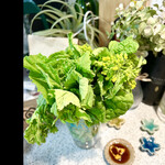 道の駅 はにゅう - 菜花が咲く寸前　咲くと苦味がでてきます　今春は、いきなり春なので、家のそばだと　なばなが出回ってません　byまみこまみこ