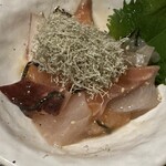 北海道 増毛町 魚鮮水産 - 