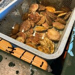 光る海 - 新鮮ホタテ！