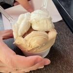 ジェラテリア・イル・ブリガンテ - 