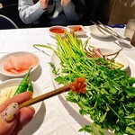 プルトゥンヌンテジ - 